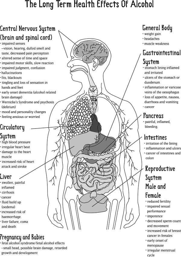 Cognitive Disorders And Its Effects On The