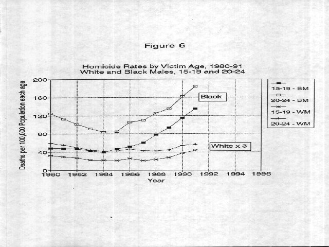 blum11.jpg (64958 bytes)