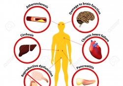 Alcoholism Health Problems: Atherosclerosis, Damage to brain function, Cirrhosis, Chronic heart failure, Reproductive dysfunction, Pancreatitis