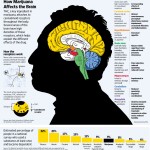 How Marijuana Affects the Brain