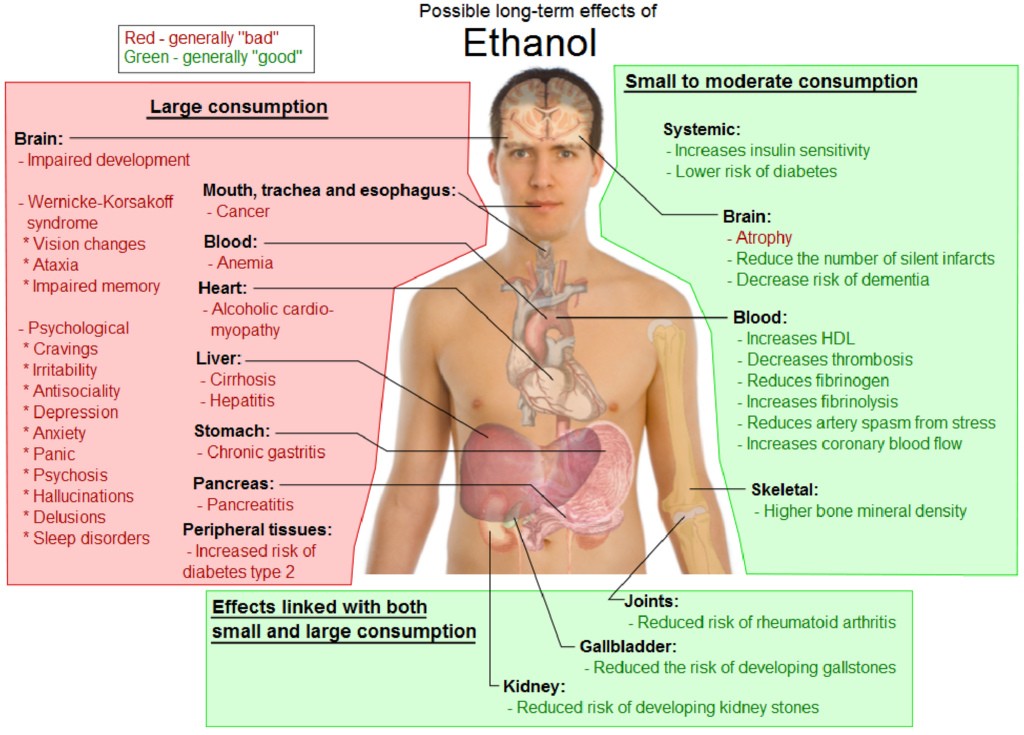 Possible long-term effects of Ethanol