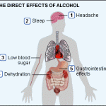 The direct effects of alcohol