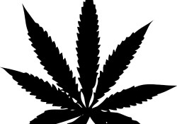 Symbol of marijuana. Cannabis: History.