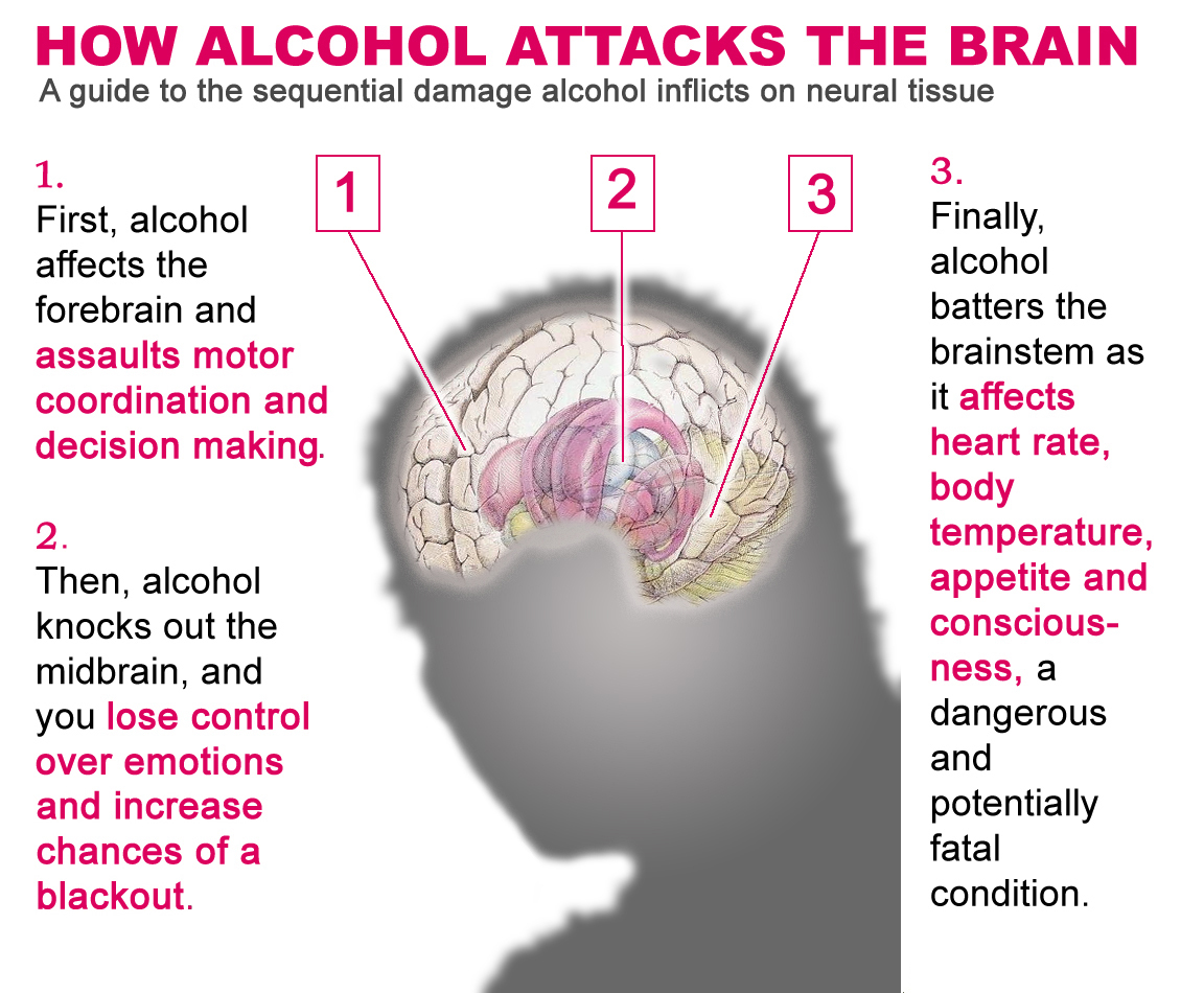 How alcohol attacks the brain? Alcohol affects many body parts and this is how it damages the brain.