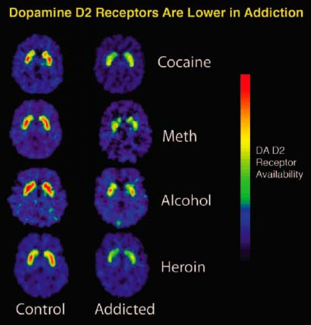 download Multicriteria and Multiagent Decision