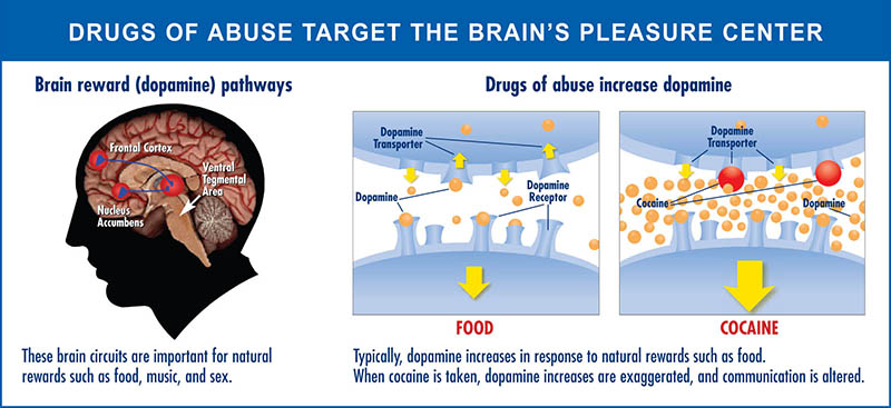 Drugs of Abuse Target the Brains pleasure center - Drug Addict