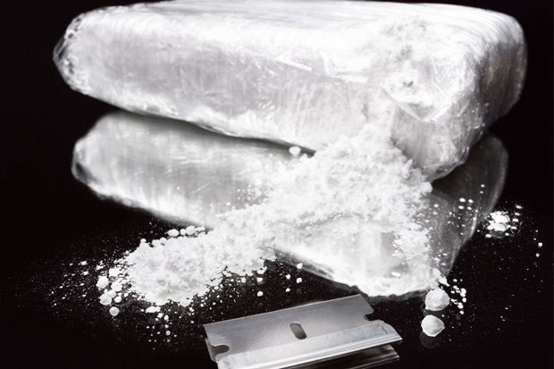 Drug photos. Cocaine. 11.